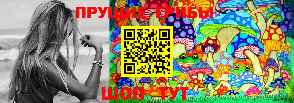 как найти   Псилоцибиновые грибы Cubensis  Вход с VPN  Верхний Уфалей 